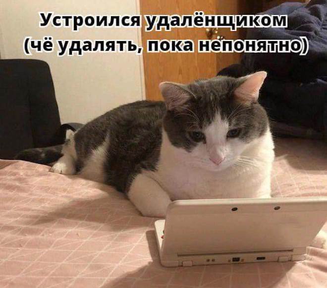 Большая подборка прикольных Мемов и Фото для Настроения Большая подборка прикольных Мемов и Фото для Настроения native-yes