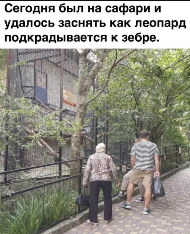 Лучшие приколы для любителей Мемов Лучшие приколы для любителей Мемов native-yes