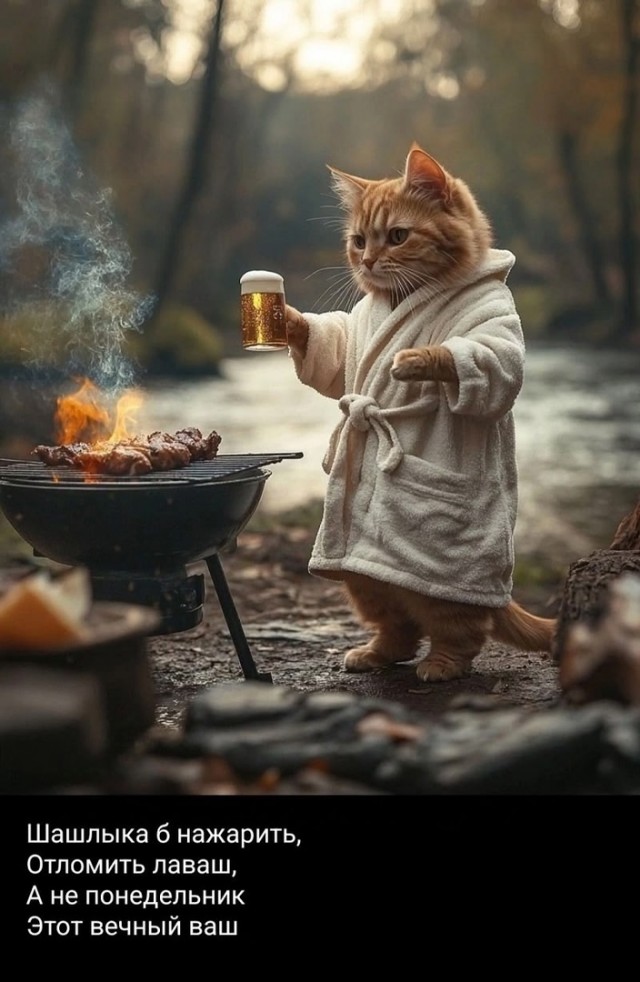 Картинки с надписями, смешные native-yes