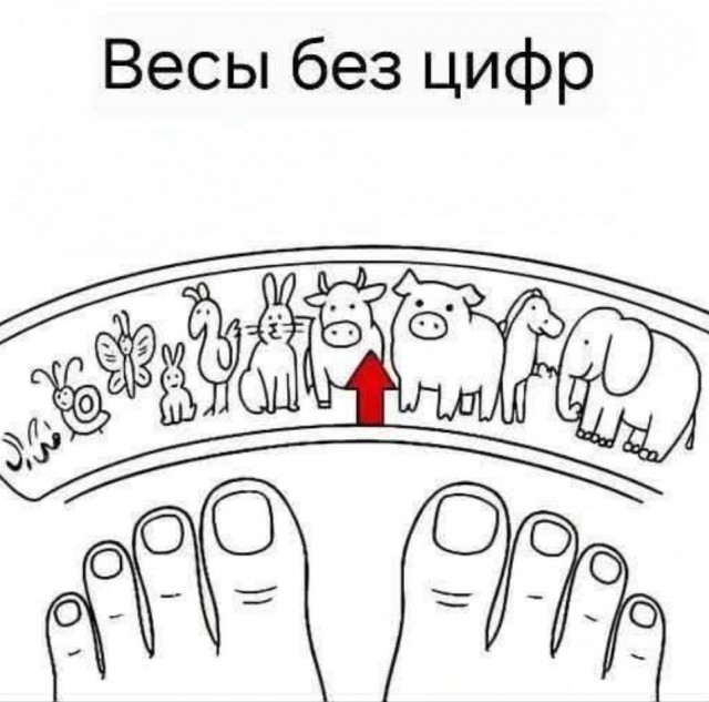 Лучшие шутки в картинках с надписями для старта недели Лучшие шутки в картинках с надписями для старта недели native-yes