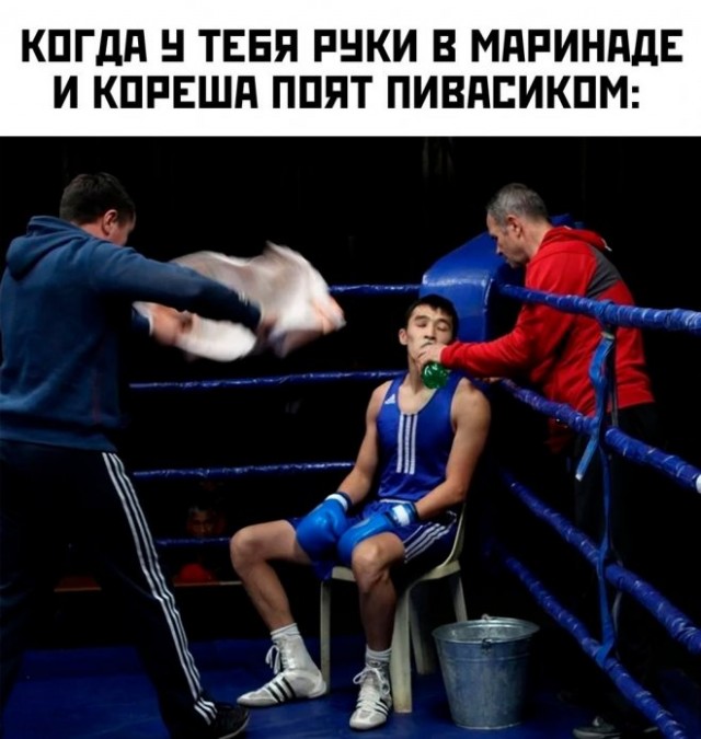 Сборник новых шуток в мемах Сборник новых шуток в мемах native-yes