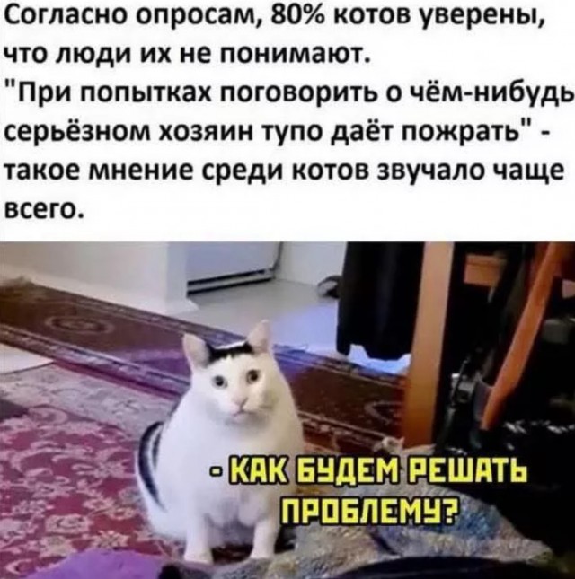 Сборник новых шуток в мемах Сборник новых шуток в мемах native-yes