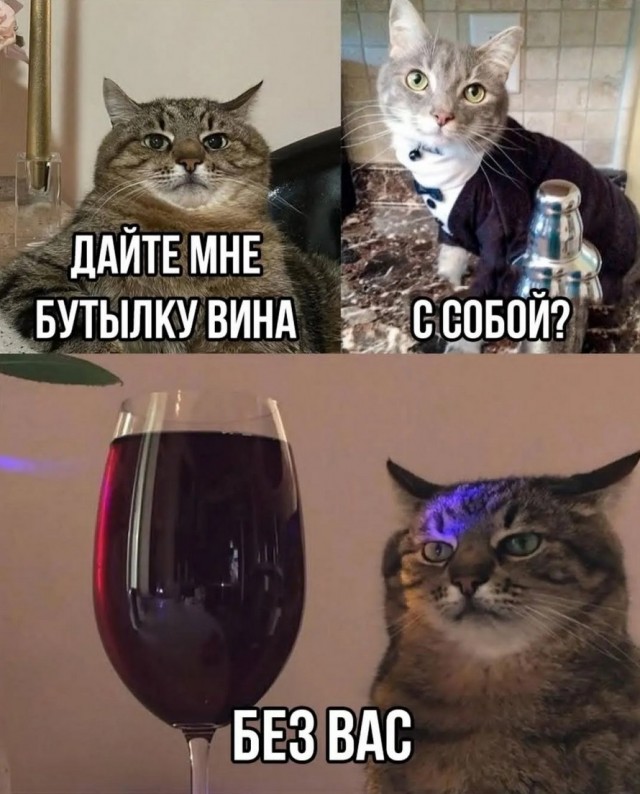 Картинки с надписями, смешные native-yes