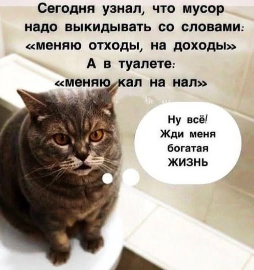 Позитив и приколы в смешных картинках на выходной Позитив и приколы в смешных картинках на выходной native-yes