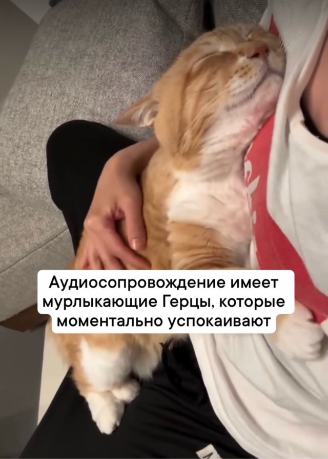 Лучшие шутки на выходной Лучшие шутки на выходной native-yes