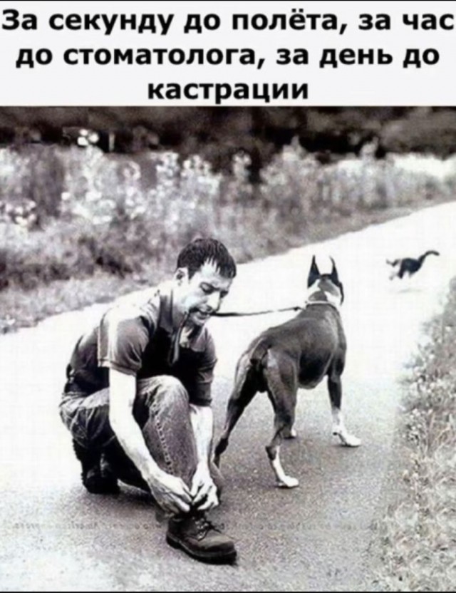 Картинки с надписями, смешные native-yes