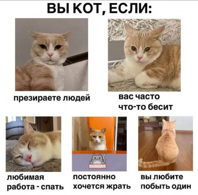 Самые лучшие мемы на выходные Самые лучшие мемы на выходные native-yes