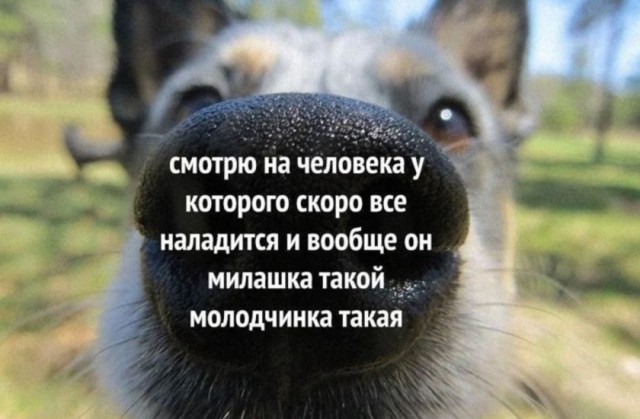 Лучшие приколы для любителей Мемов Лучшие приколы для любителей Мемов native-yes