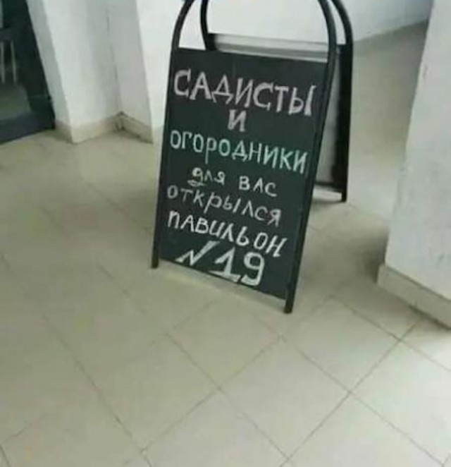 Шутки, юмор и приколы Шутки, юмор и приколы native-yes