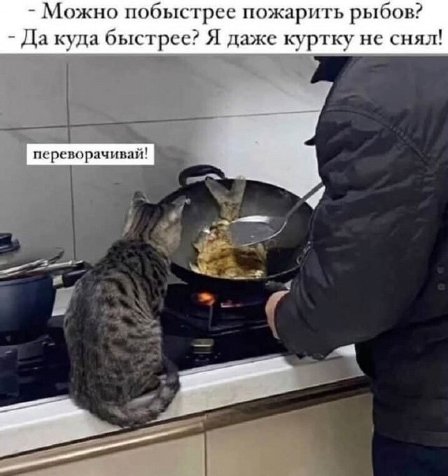 Картинки с надписями, смешные native-yes