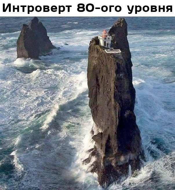 Лучшие шутки в картинках с надписями для старта недели Лучшие шутки в картинках с надписями для старта недели native-yes