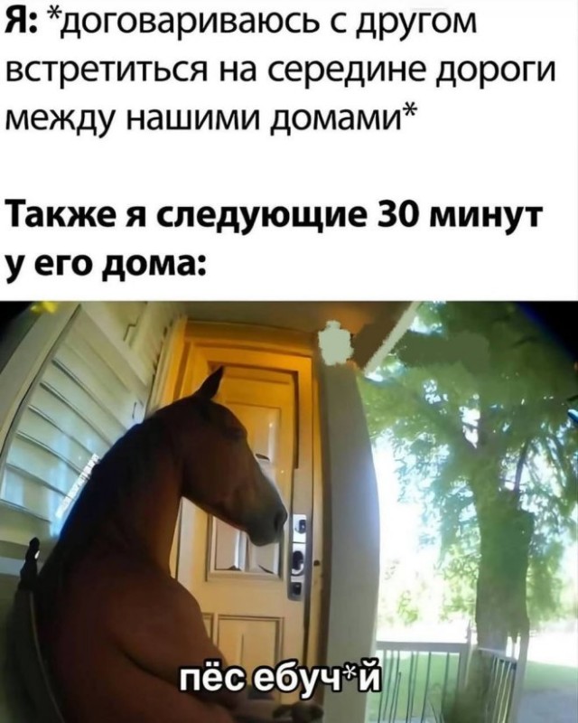 Лучшие шутки в картинках с надписями для старта недели Лучшие шутки в картинках с надписями для старта недели native-yes