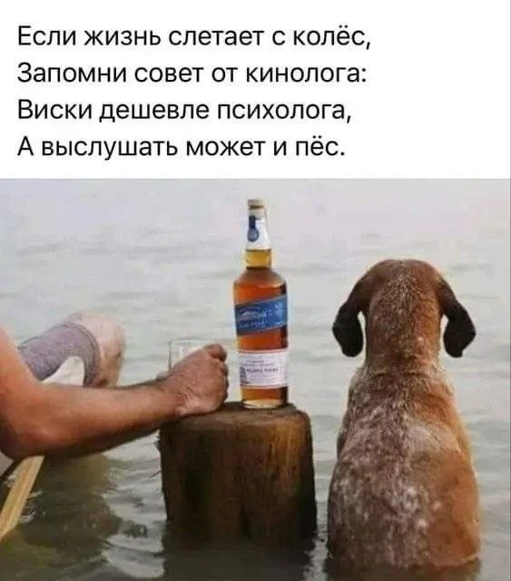 Лучшие шутки на выходной Лучшие шутки на выходной native-yes