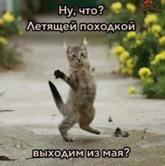 Картинки с надписями, смешные native-yes