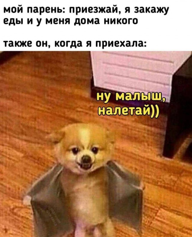Лучшие шутки для настроения native-yes