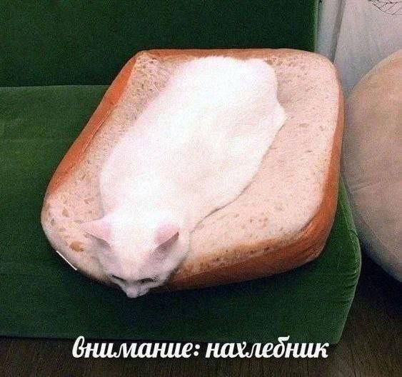 Лучшие шутки в мемах для старта недели native-yes