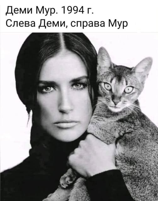 Лучшие шутки на выходной Лучшие шутки на выходной native-yes