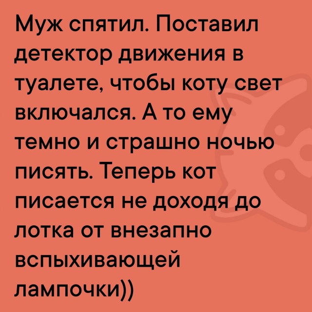 Сборник новых шуток в мемах Сборник новых шуток в мемах native-yes