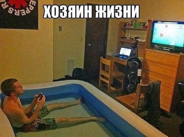 Интересные и смешные картинки с надписями Интересные и смешные картинки с надписями native-yes