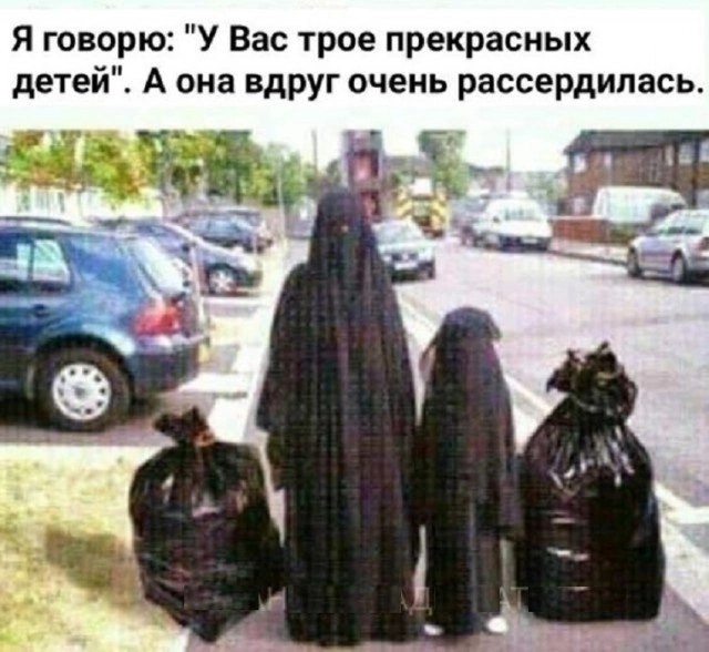 Лучшие шутки для настроения native-yes