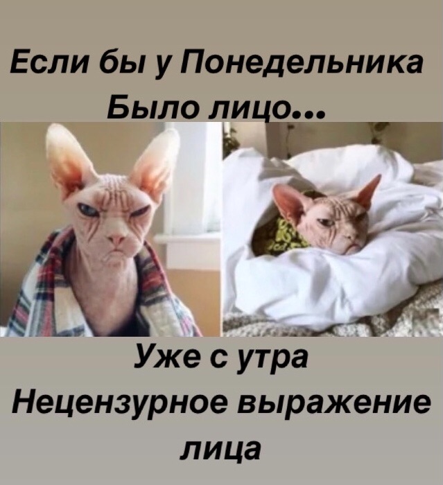 Лучшие шутки в мемах для старта недели native-yes