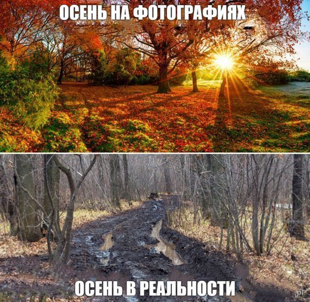 Шутки, юмор и приколы Шутки, юмор и приколы native-yes