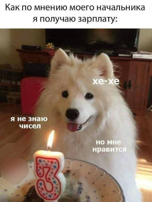 Самые лучшие мемы на выходные Самые лучшие мемы на выходные native-yes