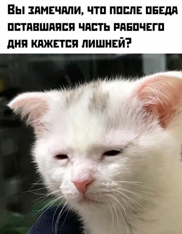 Картинки для настроения в пятницу native-yes