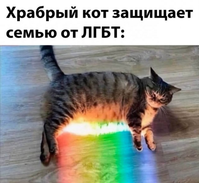Позитив и приколы в смешных картинках на выходной Позитив и приколы в смешных картинках на выходной native-yes