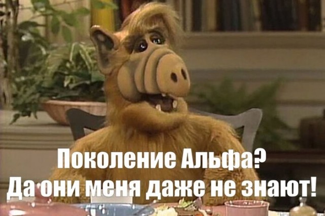 Позитив и приколы в смешных картинках на выходной Позитив и приколы в смешных картинках на выходной native-yes