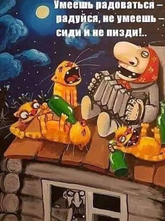 Лучшие шутки для настроения native-yes