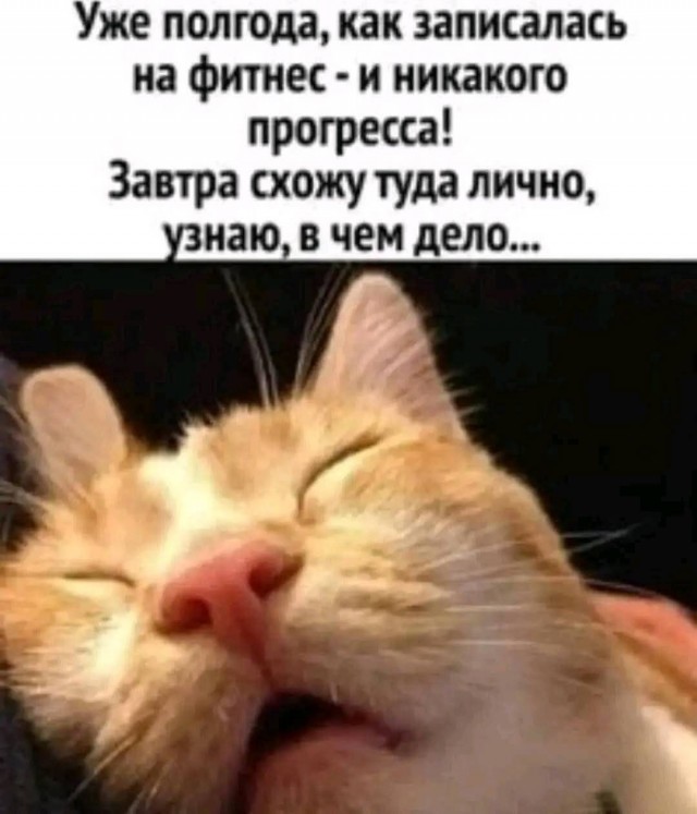 Пятница! Время мемов для отличного настроения! Пятница! Время мемов для отличного настроения! native-yes
