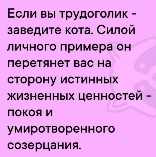 Лучшие шутки в картинках с надписями для старта недели Лучшие шутки в картинках с надписями для старта недели native-yes