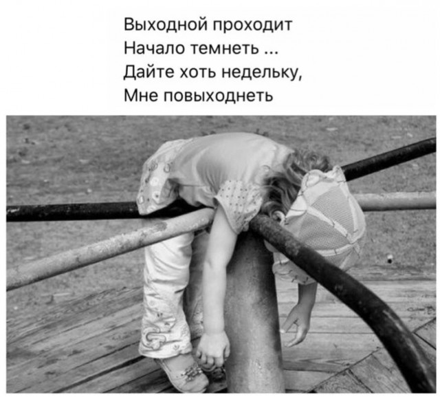 Лучшие шутки в картинках с надписями для старта недели Лучшие шутки в картинках с надписями для старта недели native-yes