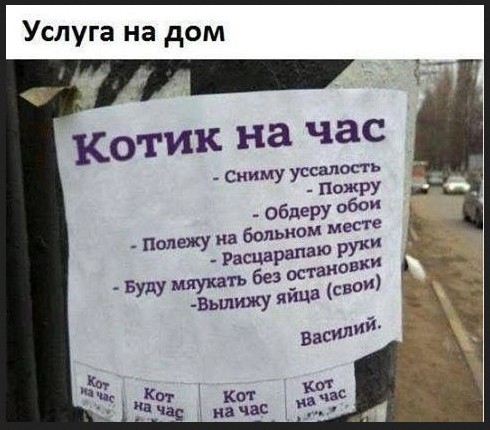 Пятница! Время мемов для отличного настроения! Пятница! Время мемов для отличного настроения! native-yes
