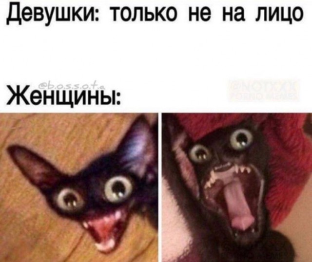 Лучшие картинки с надписями для старта недели Лучшие картинки с надписями для старта недели native-yes