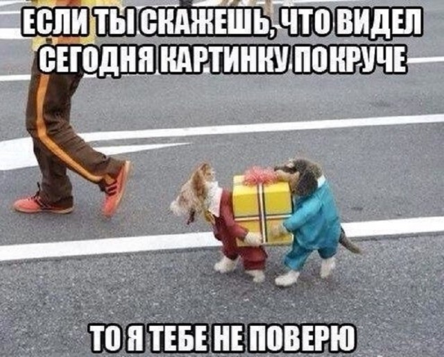 Лучшие шутки для настроения native-yes
