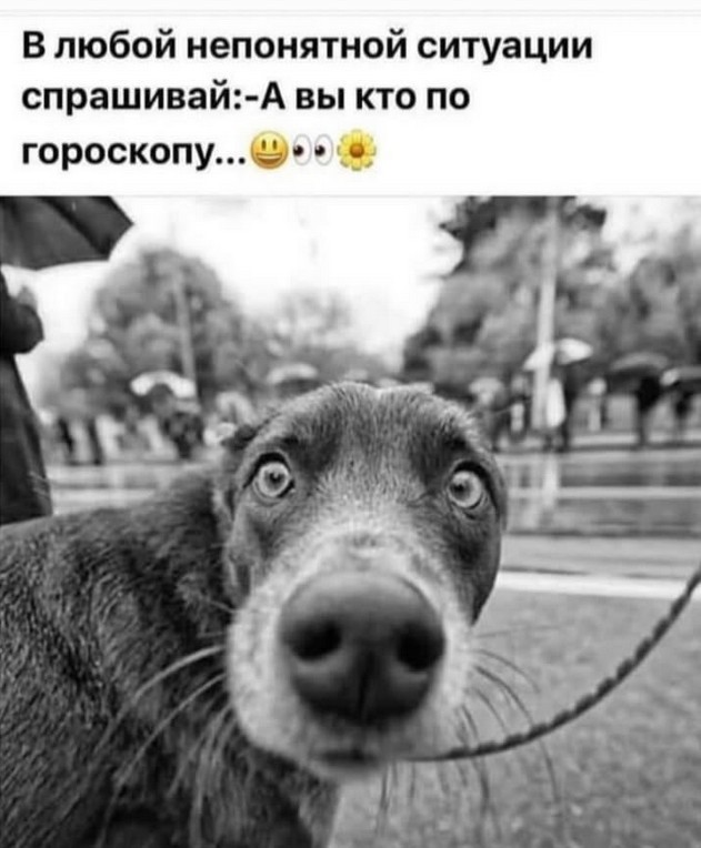 Картинки для настроения в пятницу native-yes