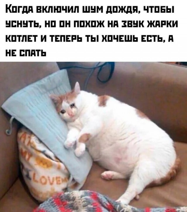 Лучшие шутки в мемах для старта недели native-yes