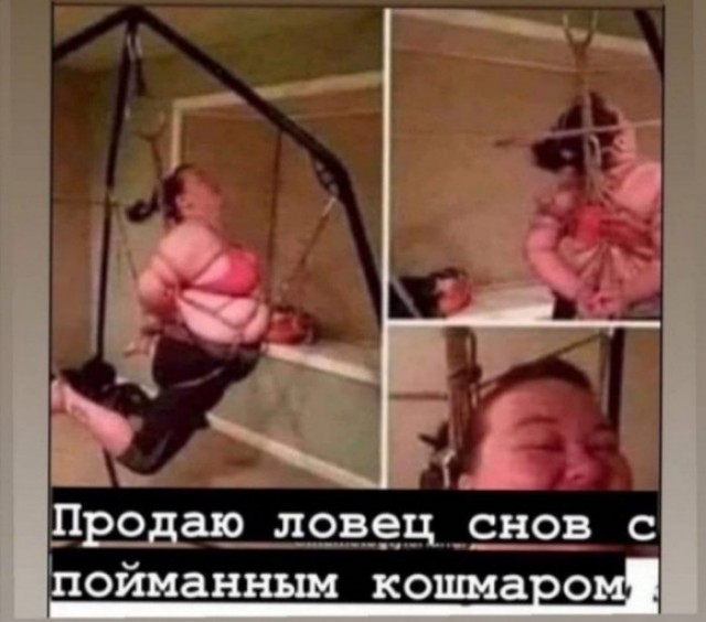 Лучшие шутки для настроения native-yes