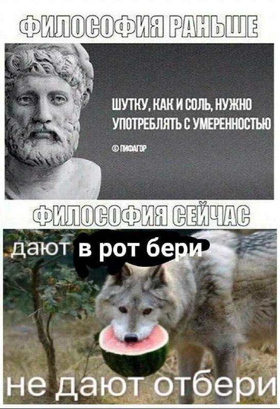 Лучшие шутки для настроения native-yes