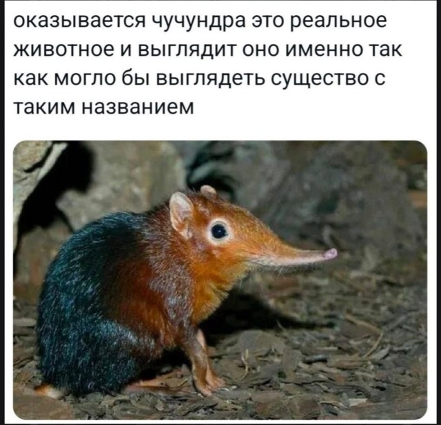 Лучшие картинки с надписями для старта недели Лучшие картинки с надписями для старта недели native-yes