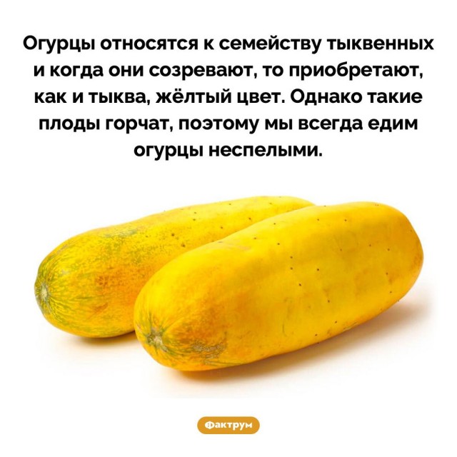 Самые лучшие мемы на выходные Самые лучшие мемы на выходные native-yes
