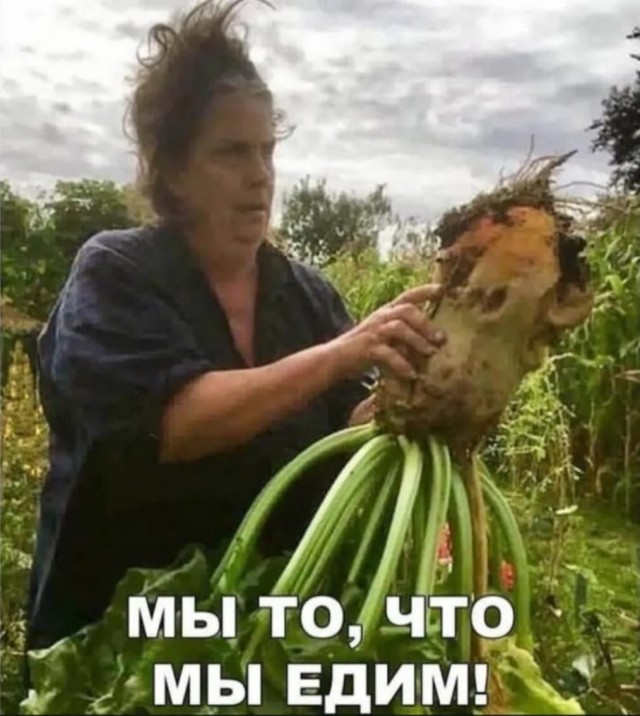 Подборка новых смешных картинок на выходной Подборка новых смешных картинок на выходной native-yes