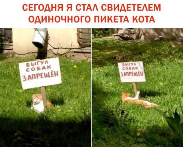 Мемы для тех кто хочет улыбнуться Мемы для тех кто хочет улыбнуться native-yes