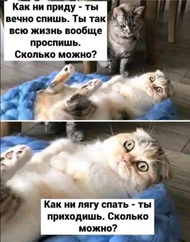 Пятница! Время мемов для отличного настроения! Пятница! Время мемов для отличного настроения! native-yes