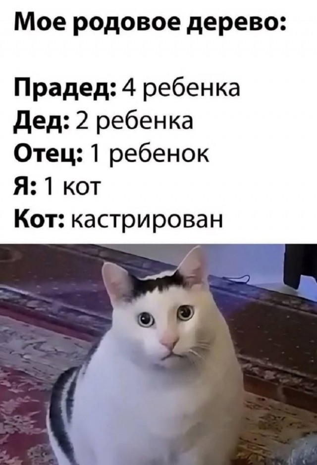 Сборник новых шуток в мемах Сборник новых шуток в мемах native-yes