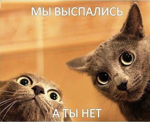 Лучшие шутки в мемах для старта недели native-yes