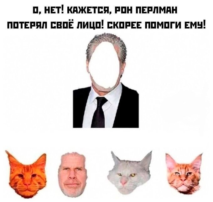 Сборник новых шуток в мемах Сборник новых шуток в мемах native-yes