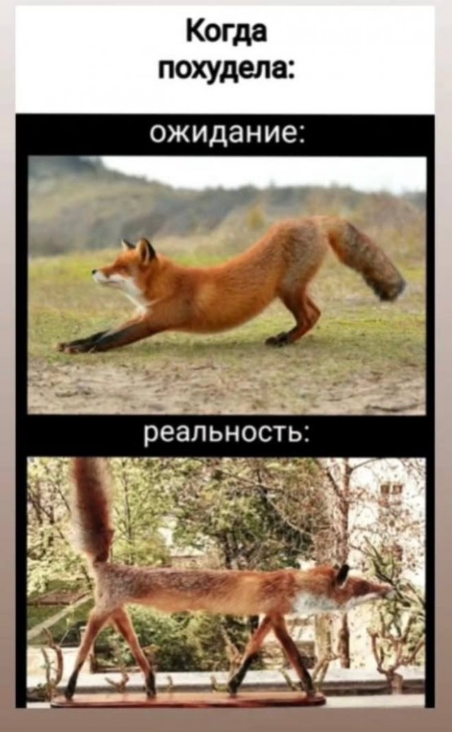 Лучшие шутки в мемах для старта недели native-yes